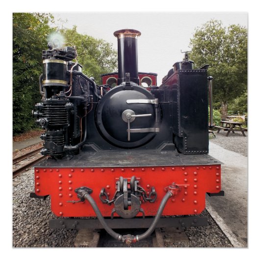 STEAM TRAINS PERFECT POSTER (Voorkant)