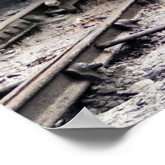 STEAM TRAINS POSTER (Hoek)