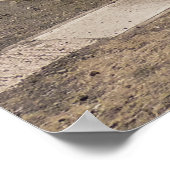 STEAM TRAINS POSTER (Hoek)