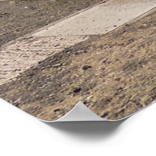 STEAM TRAINS POSTER (Hoek)