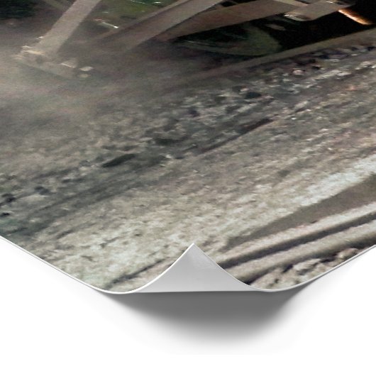 STEAM TRAINS POSTER (Hoek)