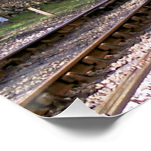 STEAM TRAINS POSTER (Hoek)