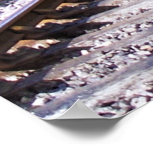 STEAM TRAINS POSTER (Hoek)