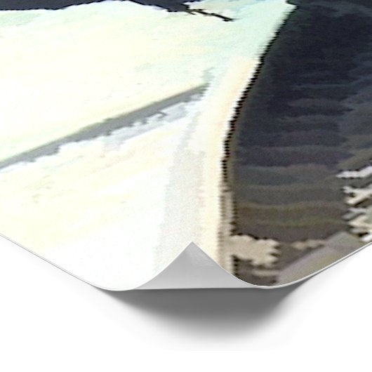 STEAM TRAINS POSTER (Hoek)