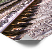 STEAM TRAINS POSTER (Hoek)