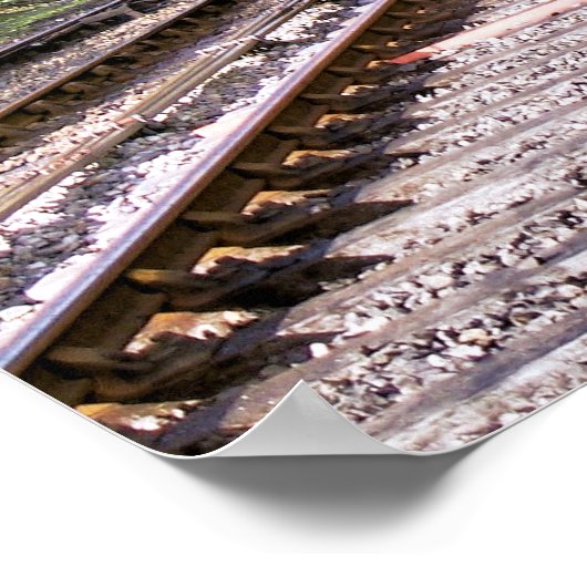 STEAM TRAINS POSTER (Hoek)