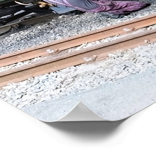 STEAM TRAINS POSTER (Hoek)