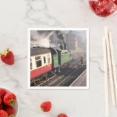 STEAM TRAINS SERVET (Insitu)