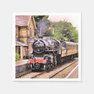 STEAM TRAINS SERVET