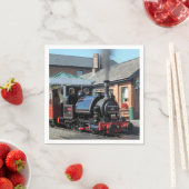 STEAM TRAINS SERVET (Insitu)