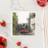 STEAM TRAINS SERVET (Insitu)