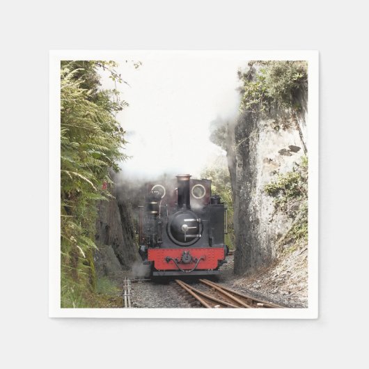 STEAM TRAINS SERVET (Voorkant)