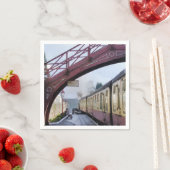 STEAM TRAINS SERVET (Insitu)