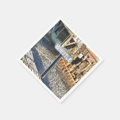 STEAM TRAINS SERVET (Hoek)