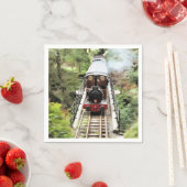 STEAM TRAINS SERVET (Insitu)