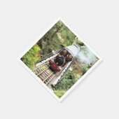 STEAM TRAINS SERVET (Hoek)