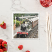 STEAM TRAINS SERVET (Insitu)