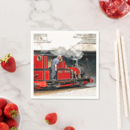 STEAM TRAINS SERVET (Insitu)