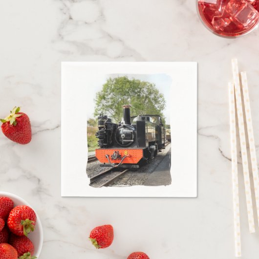 STEAM TRAINS SERVET (Insitu)