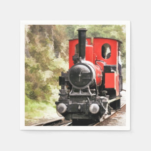 STEAM TRAINS SERVET