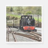 STEAM TRAINS SERVETTEN (Voorkant)