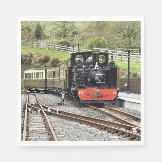 STEAM TRAINS SERVETTEN (Voorkant)