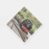 STEAM TRAINS SERVETTEN (Hoek)