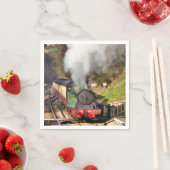 STEAM TRAINS SERVETTEN (Insitu)