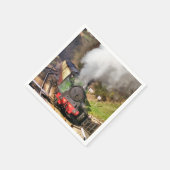 STEAM TRAINS SERVETTEN (Hoek)