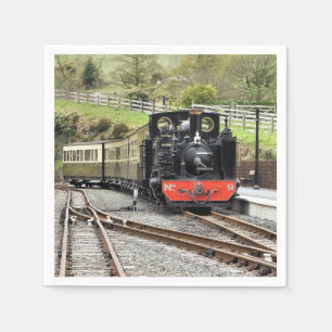 STEAM TRAINS SERVETTEN