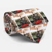 STEAM TRAINS STROPDAS (Opgerold)