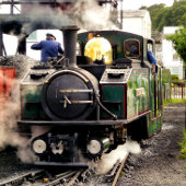 STEAM TRAINS T-SHIRT