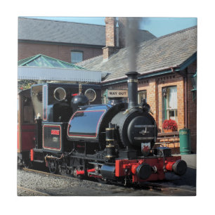 STEAM TRAINS TEGELTJE