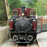 STEAM TRAINS TEGELTJE<br><div class="desc">Wales,  het land van de kleine stoomtreinen. Een prachtig geconserveerde rode trein en groene wagens vol passagiers.</div>
