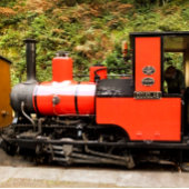 STEAM TRAINS THERMOSBEKER