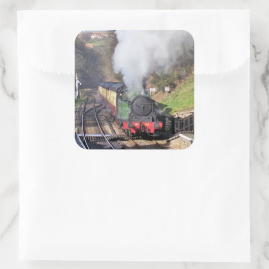 STEAM TRAINS VIERKANTE STICKER (Tas)