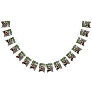 STEAM TRAINS VLAGGETJES