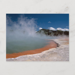 Steam uit Champagne Pool op WAI-O-TAPU Briefkaart