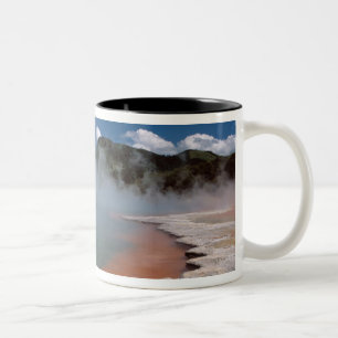 Steam uit de Champagne-pool op WAI-O-TAPU Tweekleurige Koffiemok