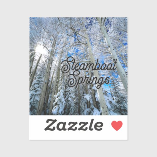 Steamboat Springs Patch Sticker (Vel)