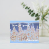 Steamboat Springs Tree briefkaart (Staand voorkant)