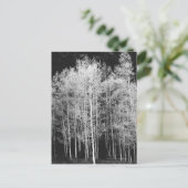 Steamboot, Routt County, Colorado Briefkaart (Staand voorkant)