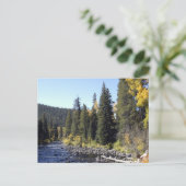 Steamboot Springs, Colorado Briefkaart (Staand voorkant)