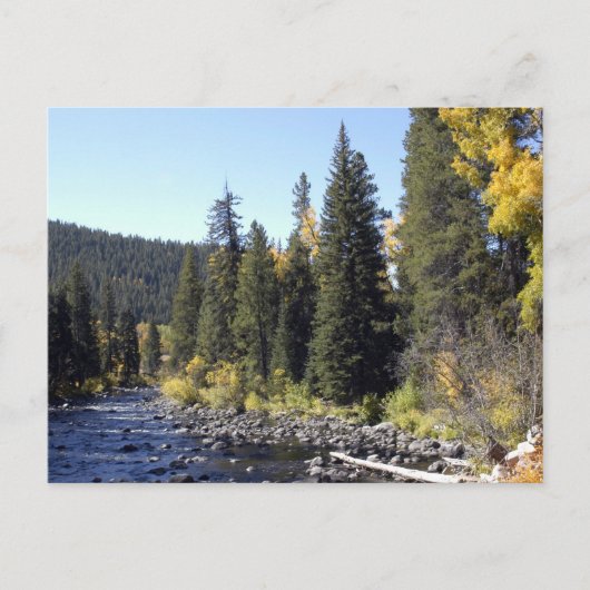 Steamboot Springs, Colorado Briefkaart (Voorkant)