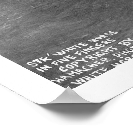 Steamboot Yukon Territory 1920 Poster (Hoek)