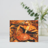 Steamed Maryland Hard Crabs Briefkaart (Staand voorkant)