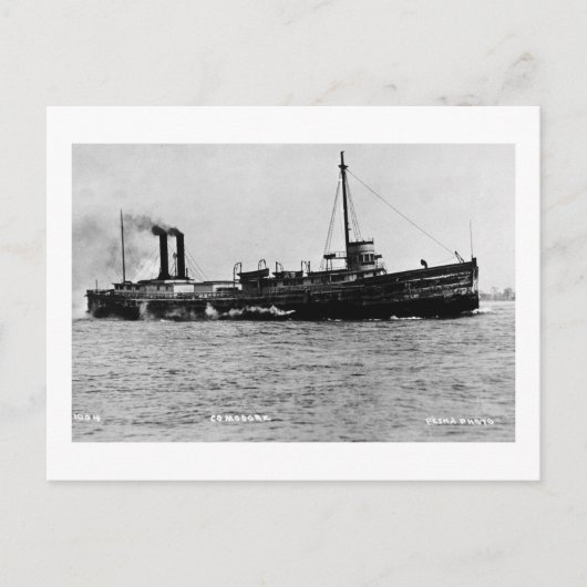 Steamer Comodore - Louis Pesha Foto Briefkaart (Voorkant)