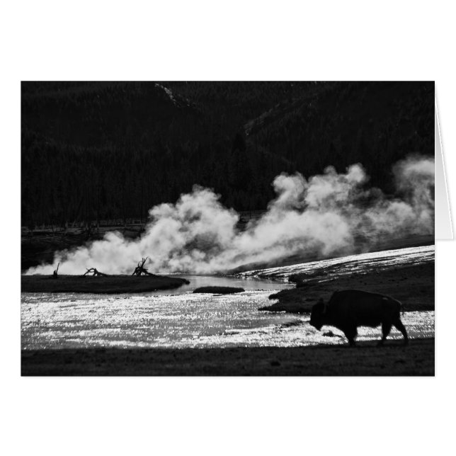 Steaming Bison - Kaart (Voorkant Horizontaal)