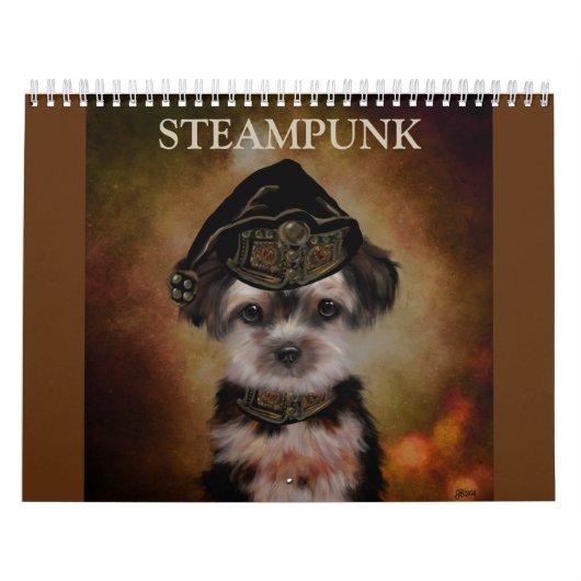 STEAMPUNK 2025 KALENDER (Hoes)