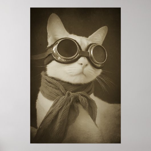 Steampunk Aviator Cat Sepia Portrait Poster (Voorkant)